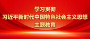 哦哦哦用力插視頻学习贯彻习近平新时代中国特色社会主义思想主题教育_fororder_ad-371X160(2)